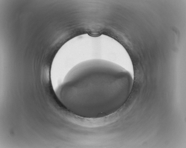 X0000114660027200911171119