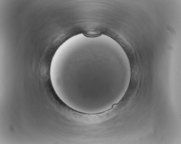 X0000114660031200911171119