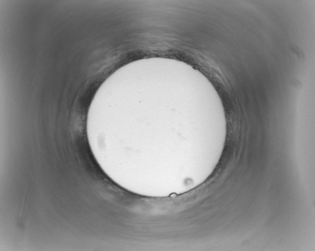 X0000114660033200911171119