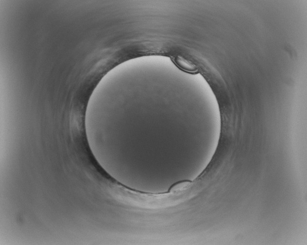 X0000114660035200911171119