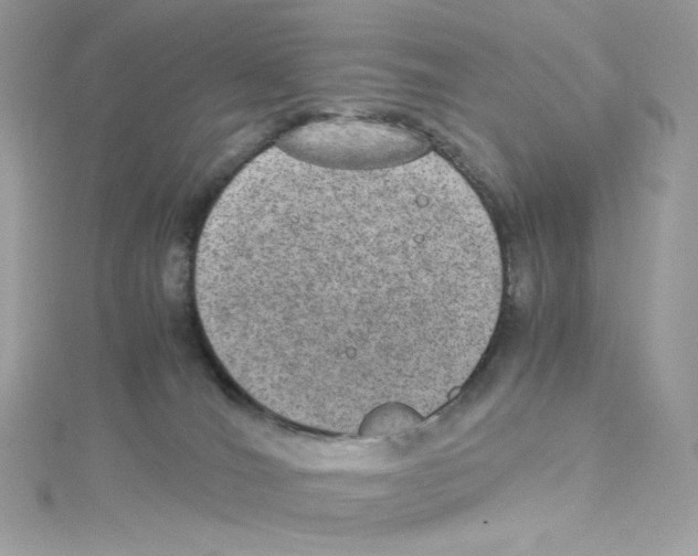 X0000114660036200911171119