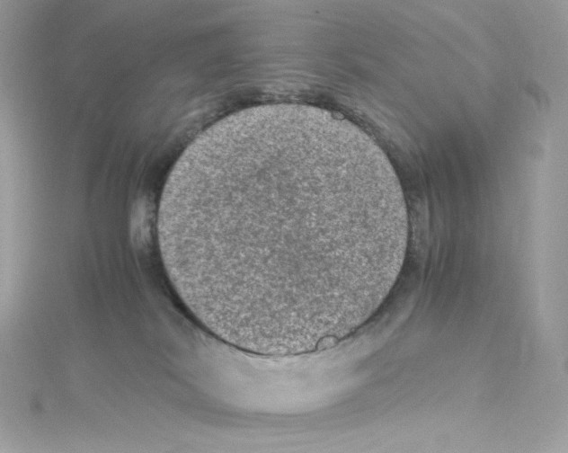 X0000114660038200911171119