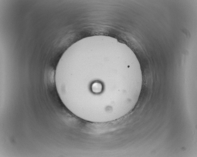 X0000114660041200911171119