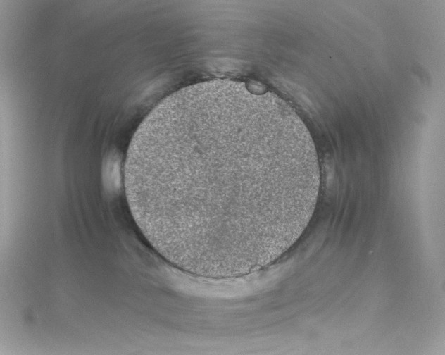 X0000114660042200911171119