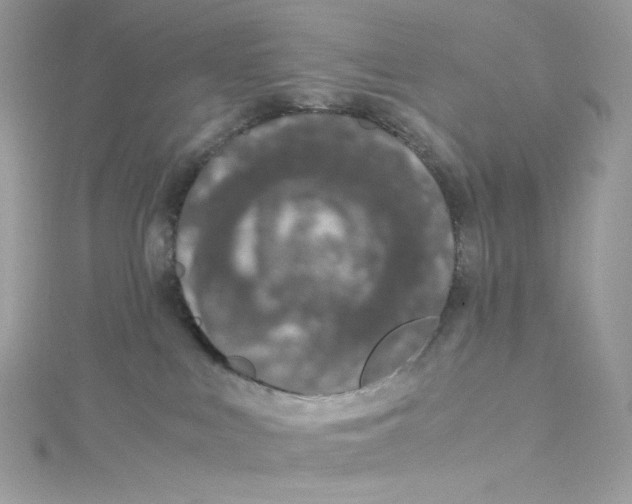 X0000114660043200911171119