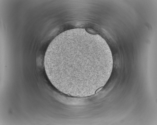 X0000114660044200911171119