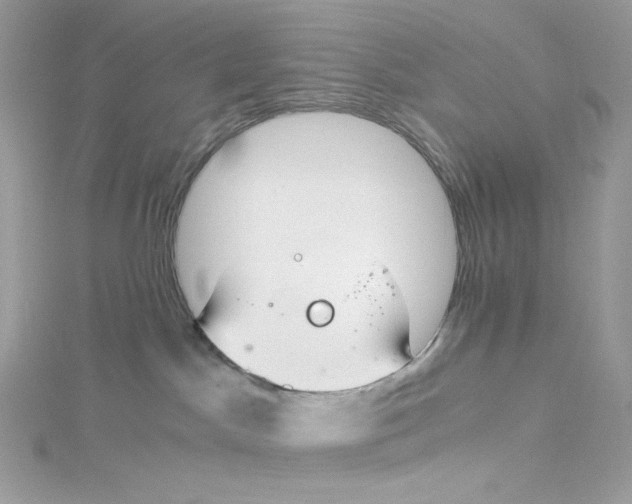 X0000114660045200911171119