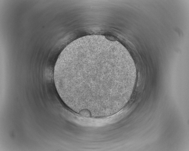 X0000114660048200911171119