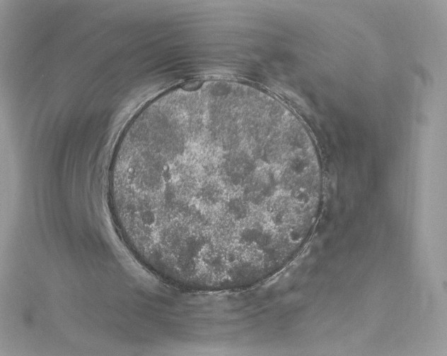 X0000114660049200911171119