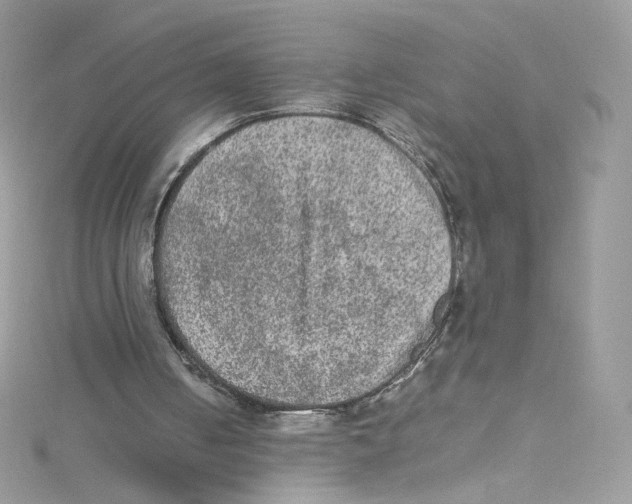 X0000114660050200911171119