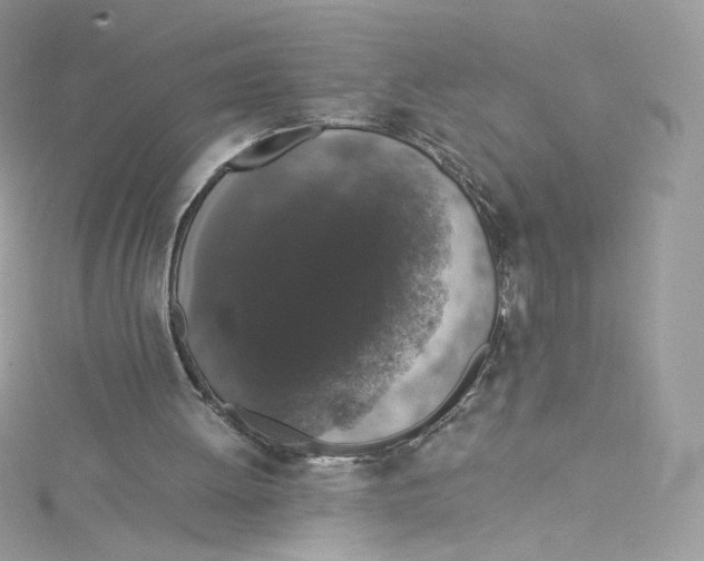 X0000114660052200911171119