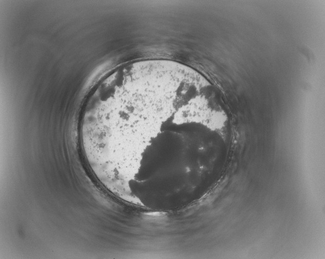 X0000114660053200911171119