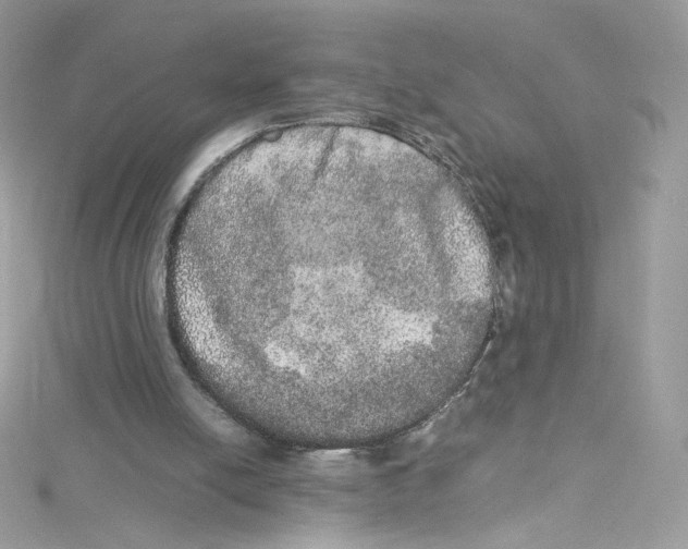 X0000114660054200911171119