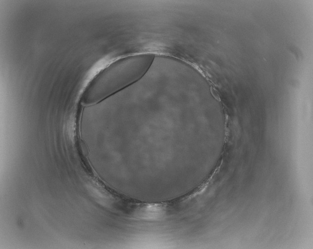 X0000114660056200911171119