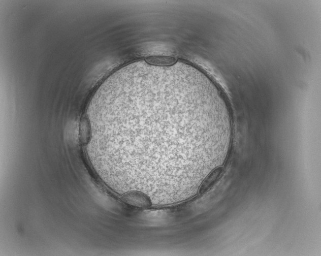 X0000114660057200911171119