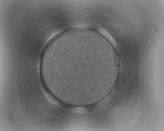 X0000114660058200911171119