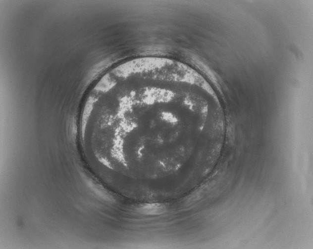 X0000114660059200911171119