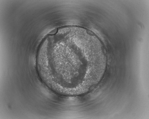 X0000114660060200911171119