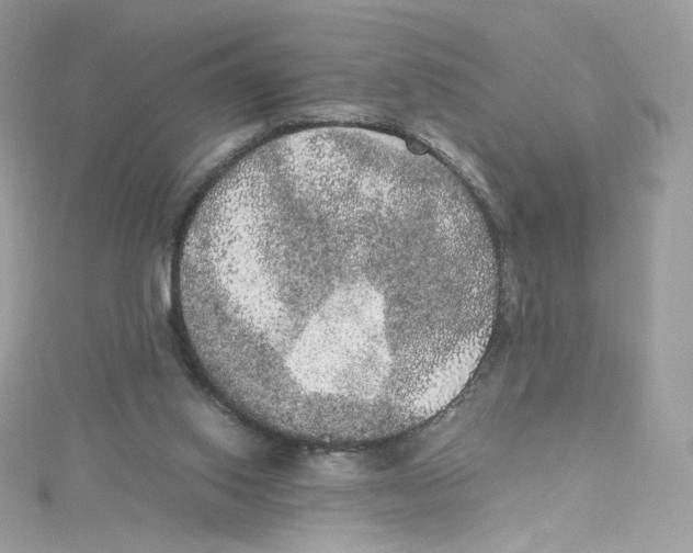 X0000114660062200911171119