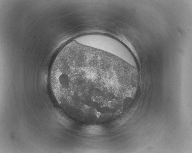 X0000114660063200911171119