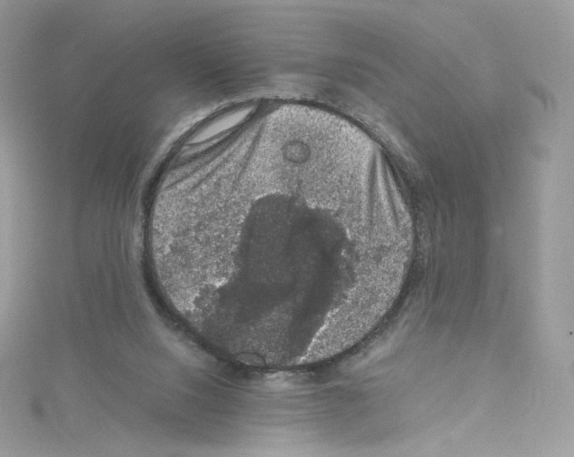 X0000114660064200911171119