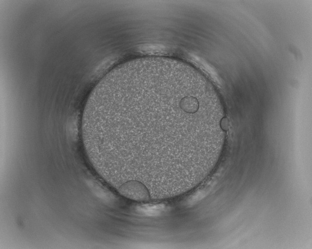 X0000114660065200911171119