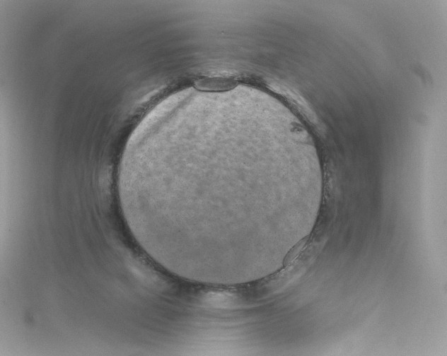 X0000114660066200911171119