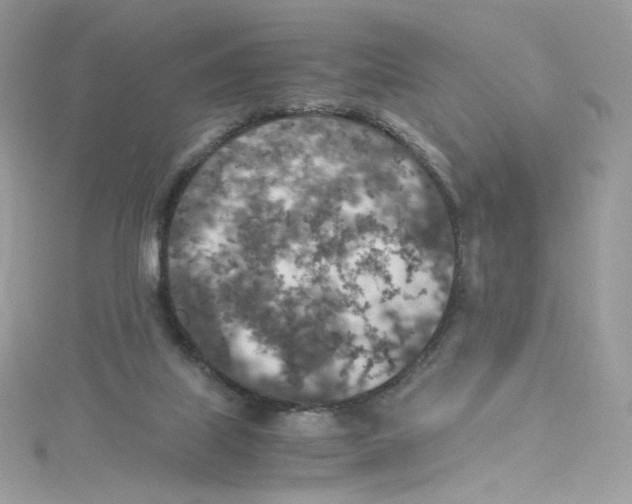 X0000114660067200911171119