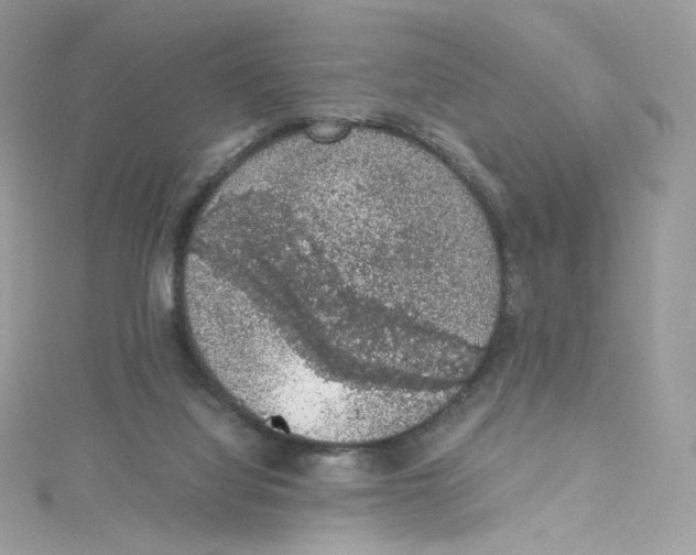 X0000114660068200911171119