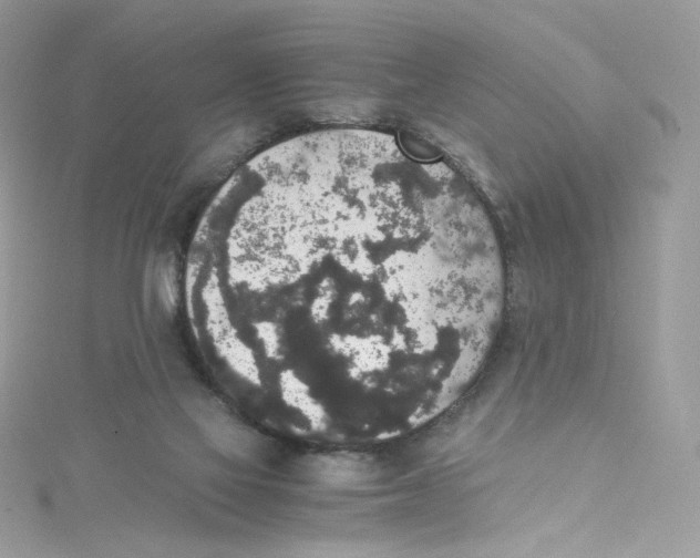 X0000114660069200911171119