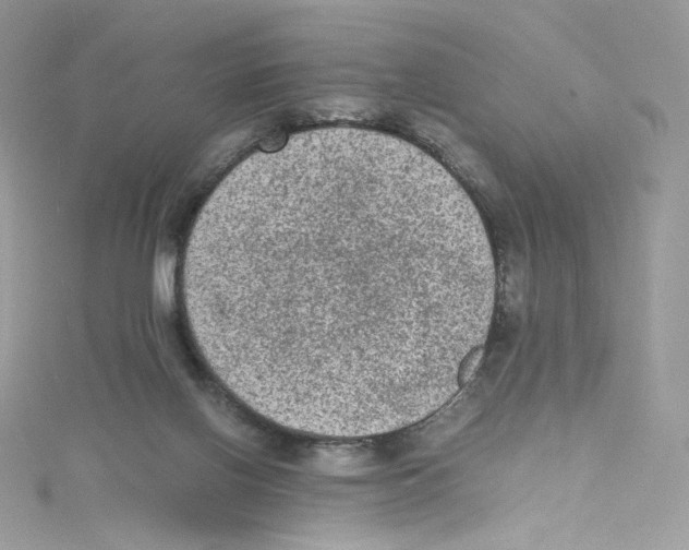 X0000114660070200911171119