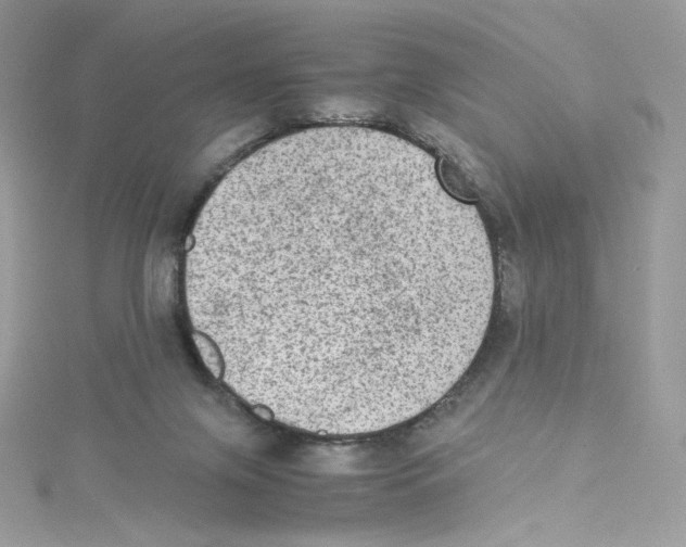 X0000114660071200911171119