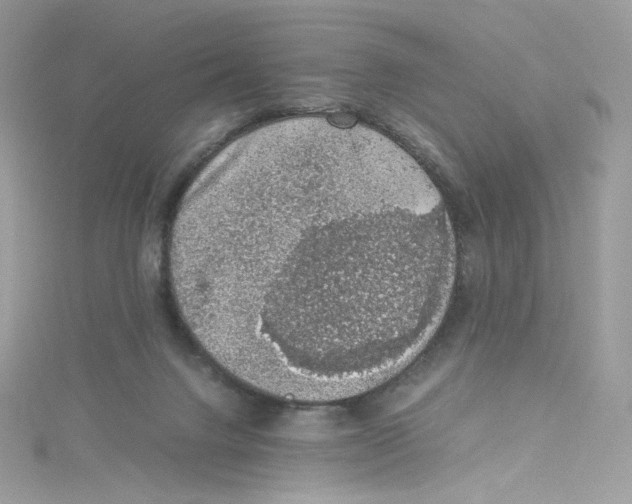 X0000114660072200911171119