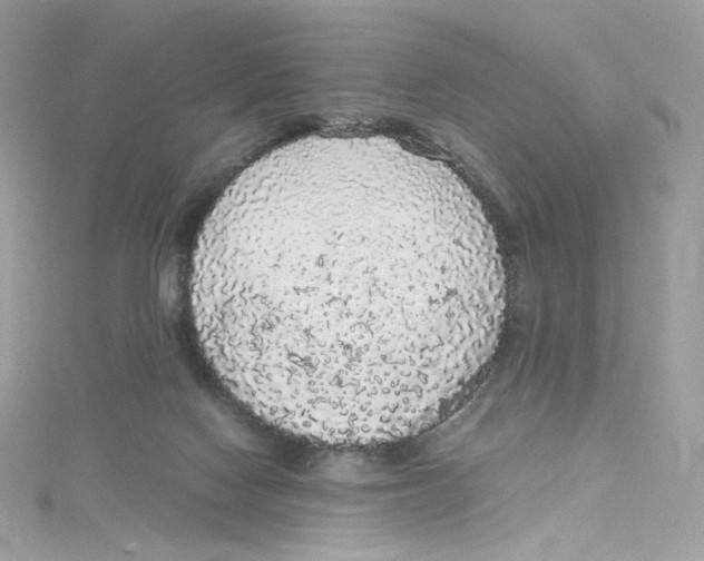 X0000114660074200911171119