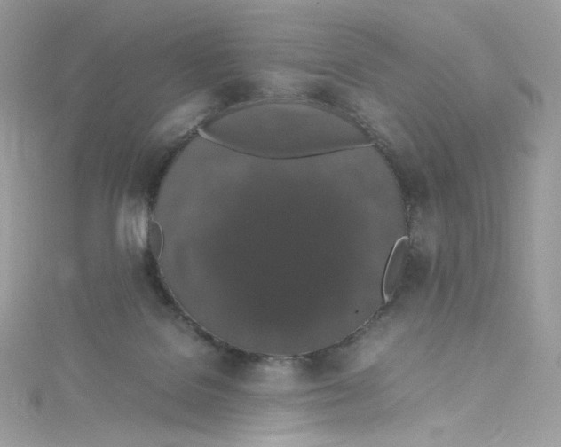 X0000114660076200911171119