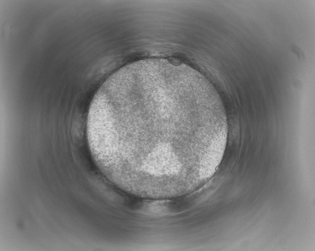 X0000114660078200911171119