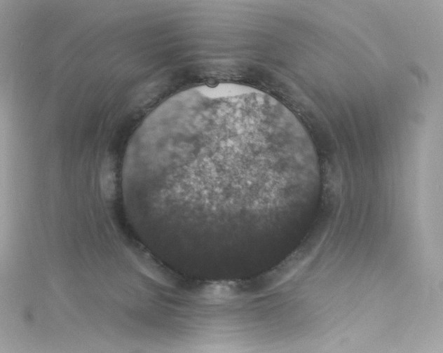 X0000114660080200911171119