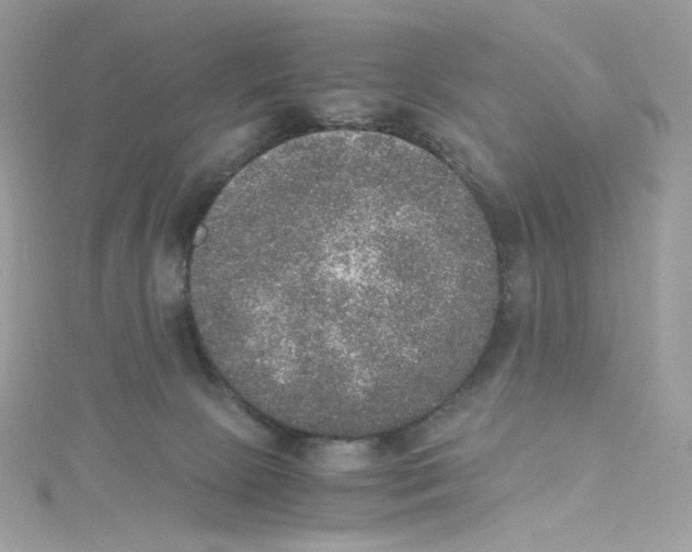 X0000114660081200911171119