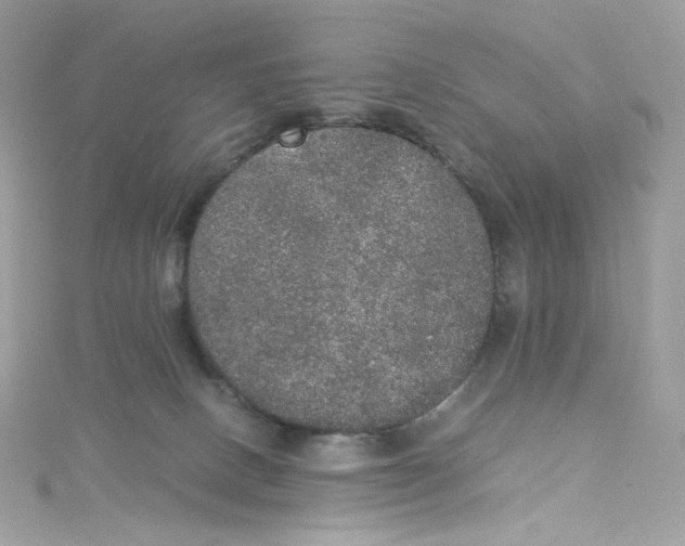 X0000114660082200911171119