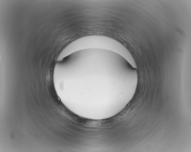 X0000114660084200911171119