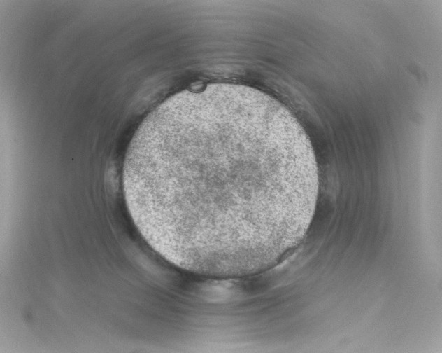 X0000114660086200911171119