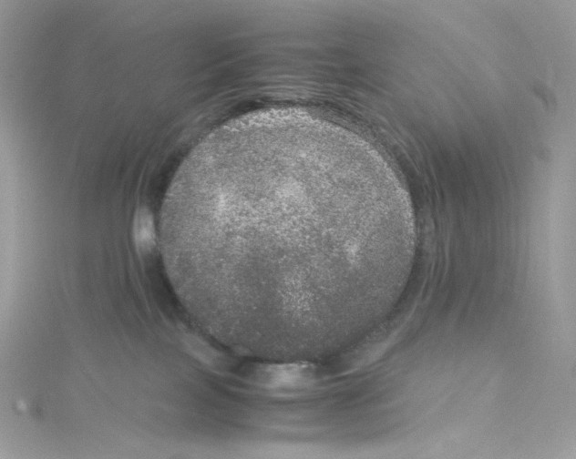 X0000114660089200911171119