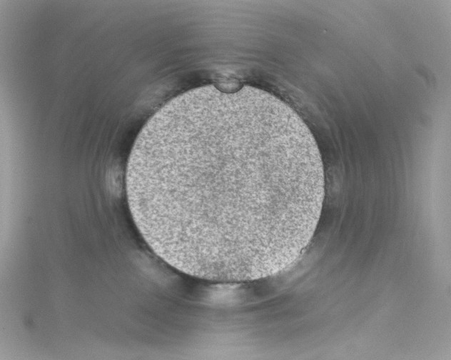 X0000114660090200911171119