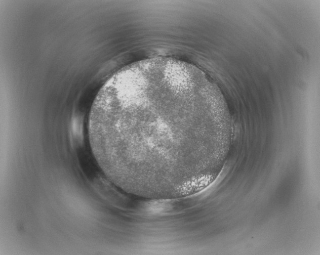 X0000114660094200911171119