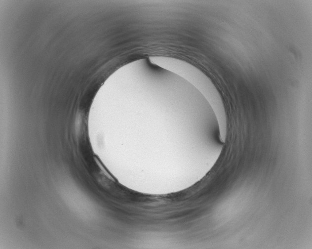 X0000114660095200911171119