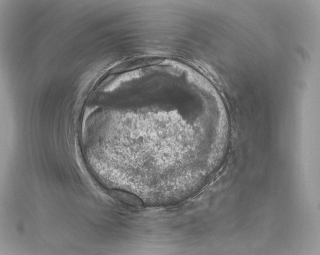 X0000114660097200911171119