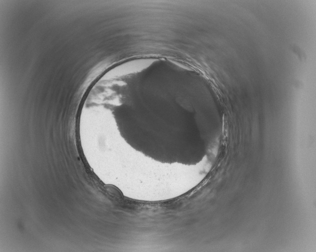 X0000114660099200911171119