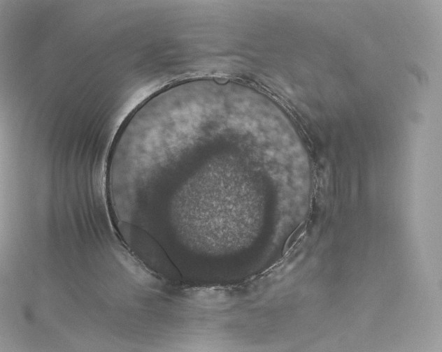 X0000114660100200911171119