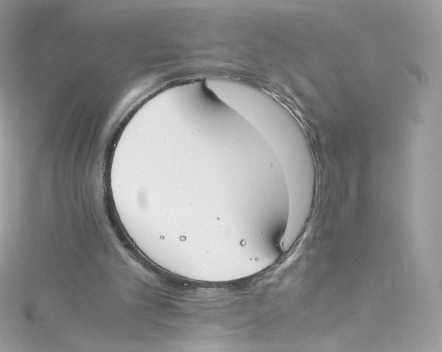 X0000114660101200911171119