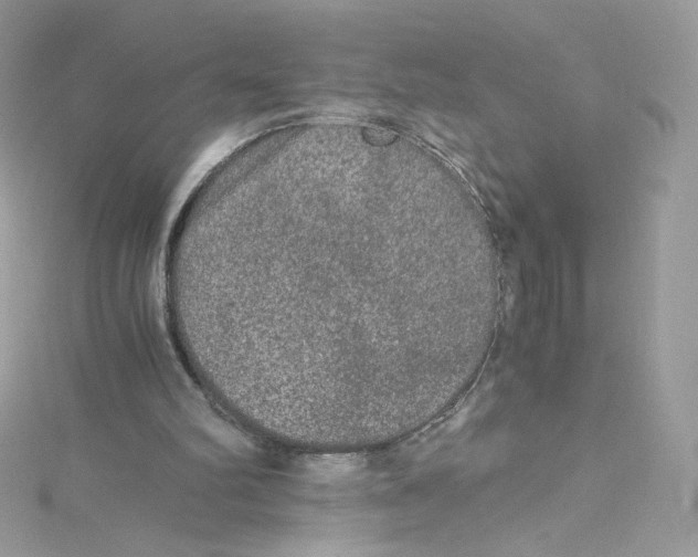 X0000114660102200911171118